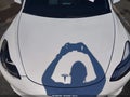 2019 Tesla Model 3 — photo 10 of 11 | VIN 5YJ3E1EB0KF493326