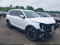 2024 Kia Telluride — photo 14 of 19 | VIN 5XYP5DGC3RG481506