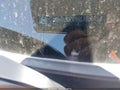 2024 GMC Terrain — photo 9 of 16 | VIN 3GKALVEG1RL185095