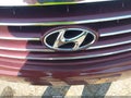 2008 Hyundai Azera — photo 12 of 13 | VIN KMHFC46D78A333610