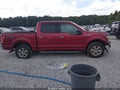 2019 Ford F-150 — photo 13 of 16 | VIN 1FTEW1EP9KFD26055