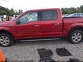 2019 Ford F-150 — photo 14 of 16 | VIN 1FTEW1EP9KFD26055