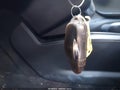 2014 Tesla Model S — photo 11 of 11 | VIN 5YJSA1H20EFP62366