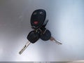 2020 Chevrolet Express 2500 — photo 10 of 15 | VIN 1GB0GRFG3L1227920