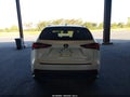 2019 Lexus NX 300 — photo 16 of 16 | VIN JTJYARBZ0K2138688