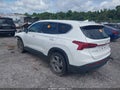 2023 Hyundai Santa Fe — photo 3 of 15 | VIN 5NMS1DAJ6PH522808