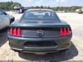 2019 Ford Mustang — photo 17 of 17 | VIN 1FA6P8K00K5500821