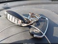 2025 Nissan Sentra — photo 11 of 17 | VIN 3N1AB8CV4SY304982