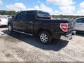 2013 Ford F-150 — photo 3 of 17 | VIN 1FTFW1CF4DFA99553