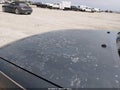 1996 Toyota Camry — photo 6 of 12 | VIN JT2BG12K8T0391257
