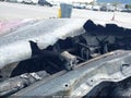 2021 Acura TLX — photo 10 of 10 | VIN 19UUB5F42MA005365