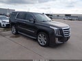 2016 Cadillac Escalade — photo 1 of 17 | VIN 1GYS3BKJ8GR229057