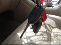 2005 Ford Expedition — photo 11 of 17 | VIN 1FMFU18525LA31112