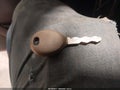 2013 Jeep Wrangler Unlimited — photo 11 of 17 | VIN 1C4BJWDG5DL632562