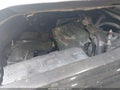 2010 Mercury Mariner — photo 10 of 16 | VIN 4M2CN8B71AKJ26701