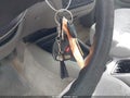 2001 Chevrolet S-10 — photo 11 of 16 | VIN 1GCCS19W918147036