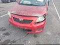 2009 Toyota Corolla — photo 5 of 11 | VIN JTDBL40E39J010600