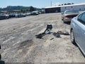 2014 Subaru Impreza — photo 12 of 14 | VIN JF1GJAC63EH021070