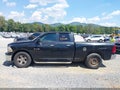 2009 Dodge Ram 1500 — photo 15 of 17 | VIN 1D3HB18P19S796335