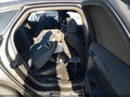 2018 Ford Fusion — photo 8 of 13 | VIN 3FA6P0HD0JR224535