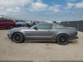 2014 Ford Mustang — photo 14 of 16 | VIN 1ZVBP8AM8E5268239