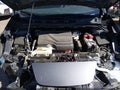 2025 Nissan Leaf — photo 10 of 17 | VIN 1N4AZ1BV1SC566331
