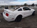 2005 Ford Mustang — photo 4 of 15 | VIN 1ZVFT82H455209705