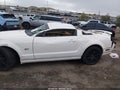 2005 Ford Mustang — photo 6 of 15 | VIN 1ZVFT82H455209705