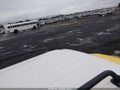2007 Toyota FJ Cruiser — photo 15 of 15 | VIN JTEBU11FX70061013
