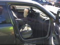 2009 Dodge Charger — photo 5 of 17 | VIN 2B3KA43T89H616784