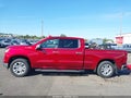 2024 Chevrolet Silverado 1500 — photo 15 of 20 | VIN 1GCUDGE80RZ241370