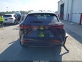 2025 Lexus NX 350 — photo 15 of 15 | VIN 2T2GGCEZ3SC073936