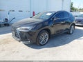 2025 Lexus NX 350 — photo 2 of 15 | VIN 2T2GGCEZ3SC073936