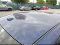 2024 Nissan Altima — photo 6 of 16 | VIN 1N4BL4CV5RN316532