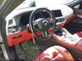 2021 BMW X6 — photo 20 of 21 | VIN 5YMCY0C07M9E19296