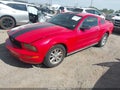 2007 Ford Mustang — photo 2 of 16 | VIN 1ZVFT80N775307509