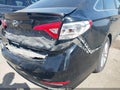 2016 Hyundai Sonata — photo 18 of 19 | VIN 5NPE24AFXGH392864
