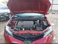 2019 Toyota Corolla — photo 10 of 11 | VIN 2T1BURHE7KC220956
