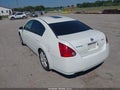 2006 Nissan Maxima — photo 3 of 15 | VIN 1N4BA41E16C859747