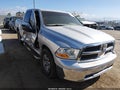 2009 Dodge Ram 1500 — photo 1 of 16 | VIN 1D3HB13PX9S700693