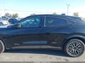 2025 Ford Mustang Mach-E — photo 15 of 17 | VIN 3FMTK3SU7SMA34683