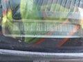 1990 Chevrolet GMT — photo 9 of 12 | VIN 1GCDC14K5LZ197645