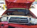 2009 Toyota Tacoma — photo 10 of 16 | VIN 3TMMU52N49M014165
