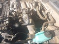 1994 Toyota Pickup — photo 6 of 11 | VIN JT4VN93D9R5040975