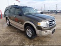 2008 Ford Expedition — photo 1 of 11 | VIN 1FMFU17568LA64393