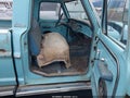 1967 Ford F-250 — photo 5 of 19 | VIN F25YRB50375