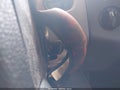 2008 Ford F-150 — photo 11 of 16 | VIN 1FTRX14W08FB83335