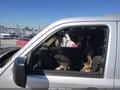 2012 Jeep Liberty — photo 14 of 14 | VIN 1C4PJMAKXCW110235