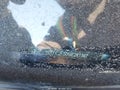 2016 Honda Civic — photo 9 of 16 | VIN 19XFC2F50GE241347