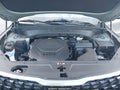 2023 Kia Telluride — photo 10 of 16 | VIN 5XYP5DGC1PG401570